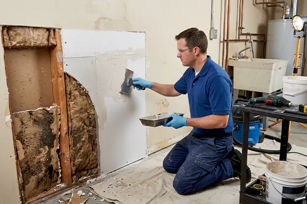 Mold and Drywall Repair Brea