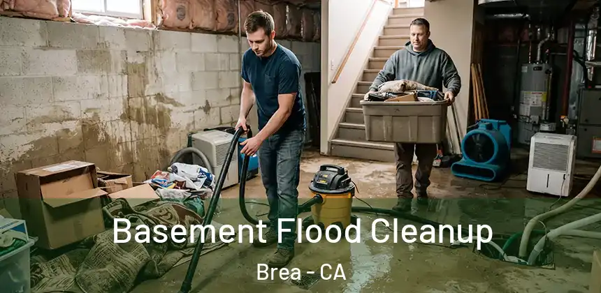  Basement Flood Cleanup Brea - CA