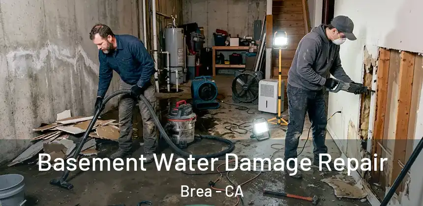  Basement Water Damage Repair Brea - CA
