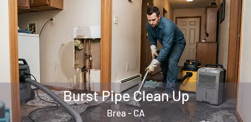  Burst Pipe Clean Up Brea - CA