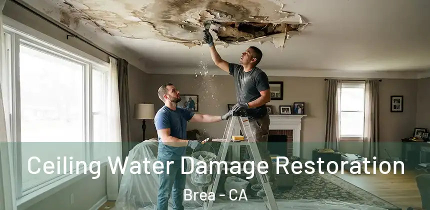  Ceiling Water Damage Restoration Brea - CA