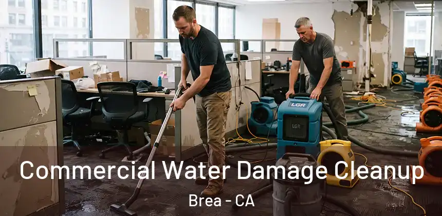  Commercial Water Damage Cleanup Brea - CA