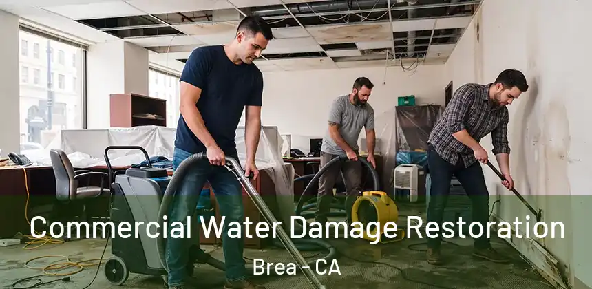  Commercial Water Damage Restoration Brea - CA