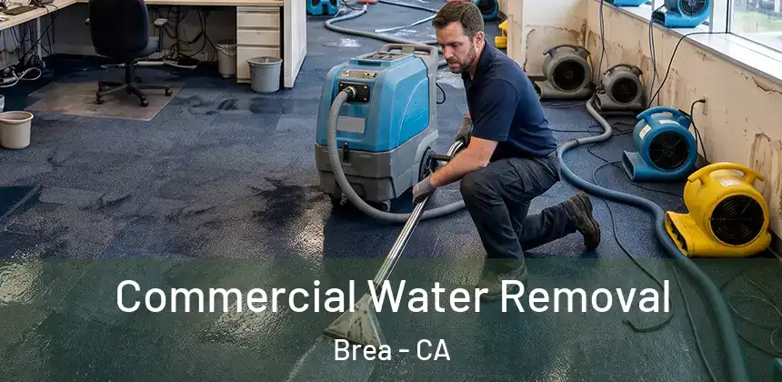  Commercial Water Removal Brea - CA