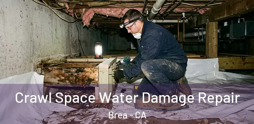  Crawl Space Water Damage Repair Brea - CA