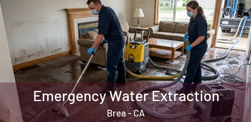  Emergency Water Extraction Brea - CA