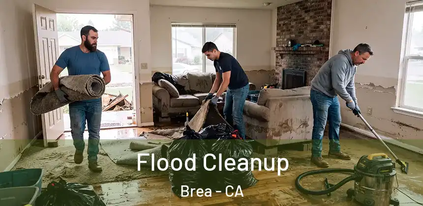  Flood Cleanup Brea - CA