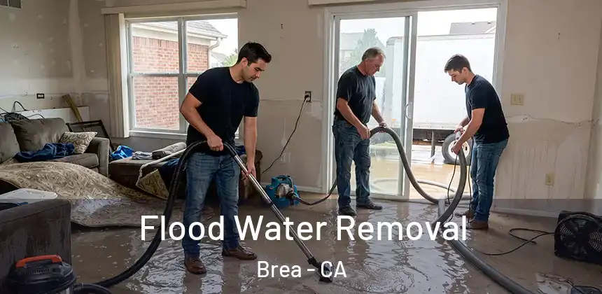  Flood Water Removal Brea - CA