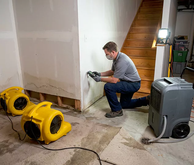 Reliable Brea Water Damage Mitigation Company