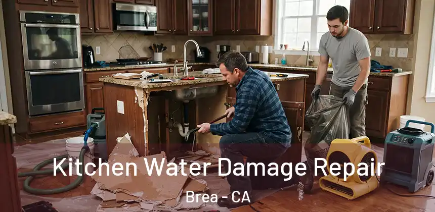  Kitchen Water Damage Repair Brea - CA