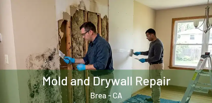  Mold and Drywall Repair Brea - CA