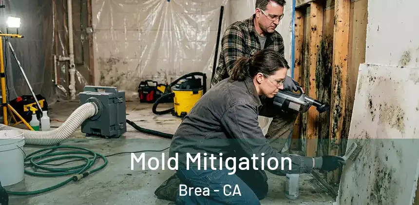  Mold Mitigation Brea - CA