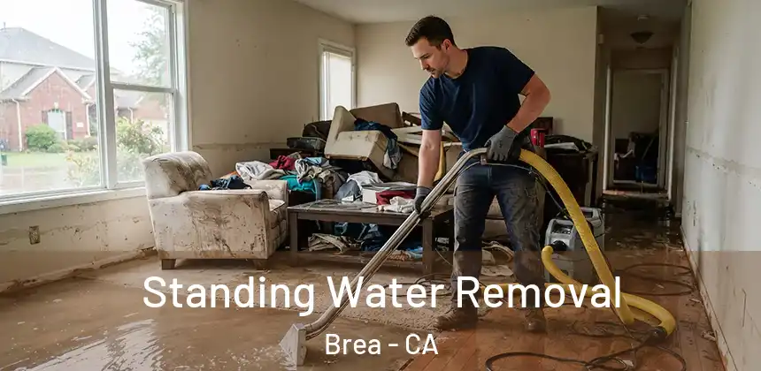  Standing Water Removal Brea - CA