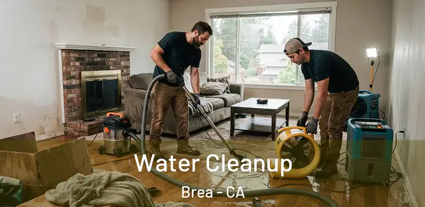 Water Cleanup Brea - CA
