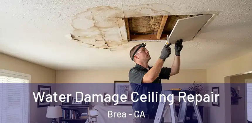  Water Damage Ceiling Repair Brea - CA
