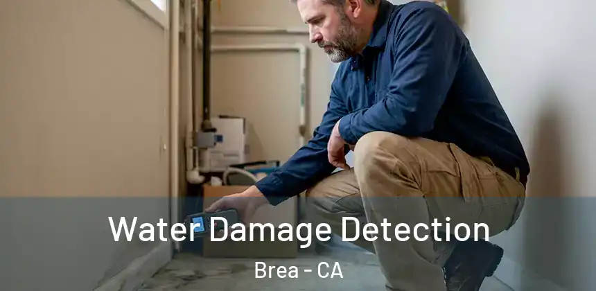  Water Damage Detection Brea - CA