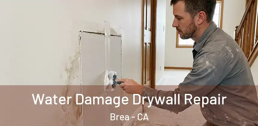 Water Damage Drywall Repair Brea - CA