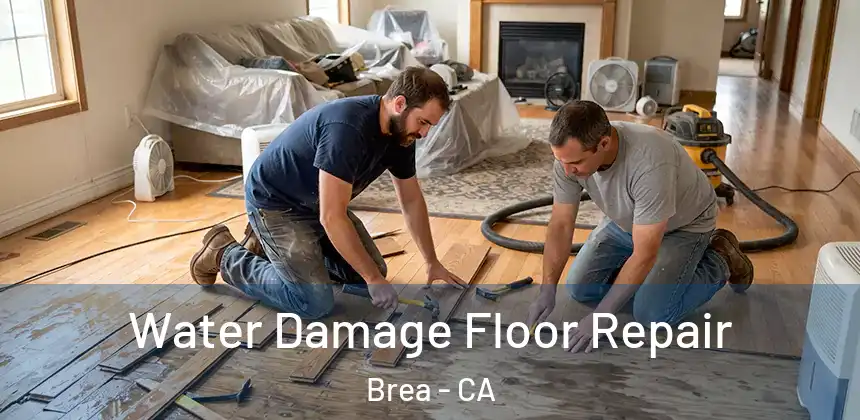  Water Damage Floor Repair Brea - CA