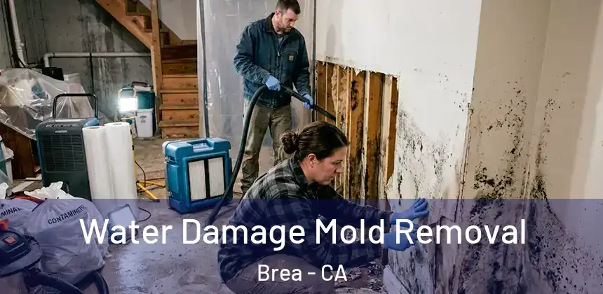  Water Damage Mold Removal Brea - CA