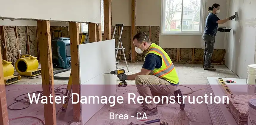  Water Damage Reconstruction Brea - CA