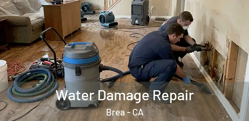  Water Damage Repair Brea - CA