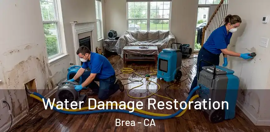  Water Damage Restoration Brea - CA
