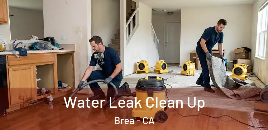  Water Leak Clean Up Brea - CA
