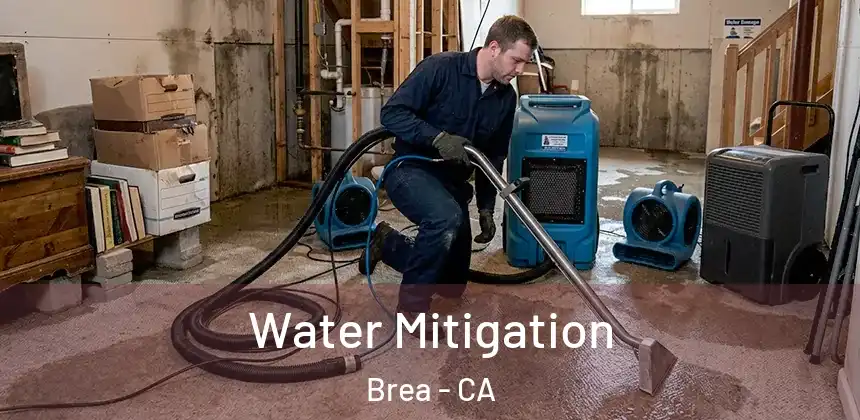  Water Mitigation Brea - CA