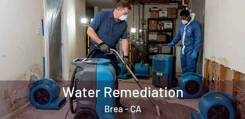  Water Remediation Brea - CA