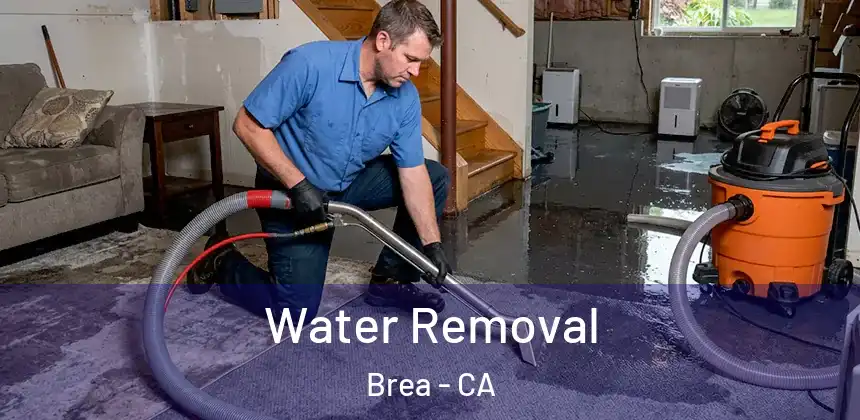  Water Removal Brea - CA