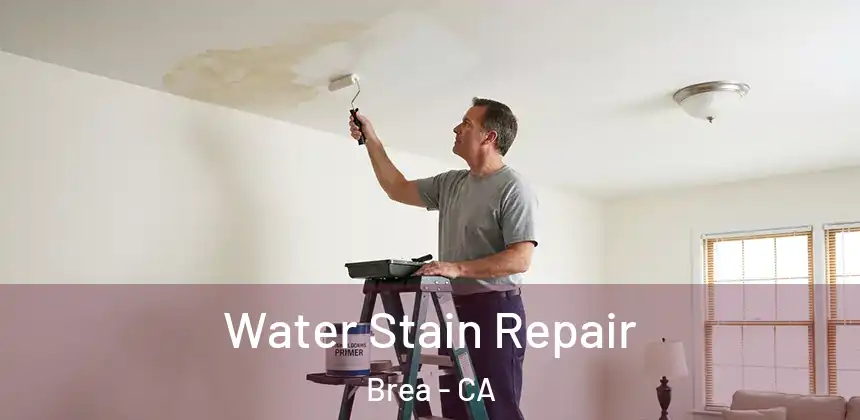  Water Stain Repair Brea - CA